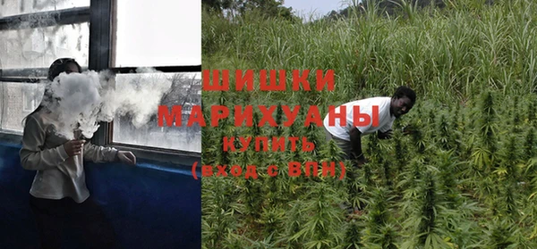 гидра Заволжск