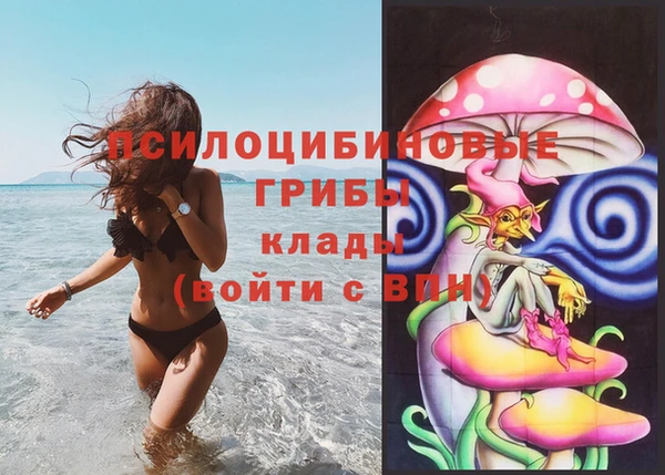 мет Заводоуковск