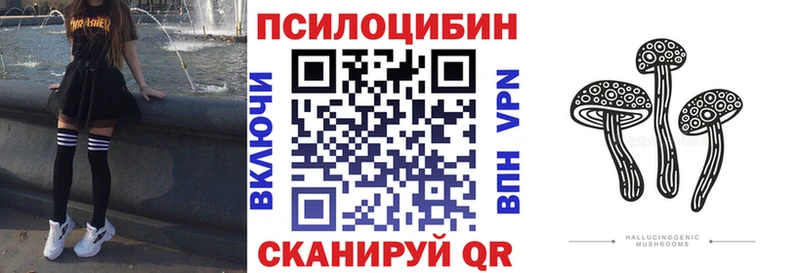 Купить закладки  Малоярославец  Псилоцибиновые грибы мухоморы 
