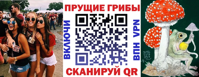 Псилоцибиновые грибы Psilocybe Малоярославец